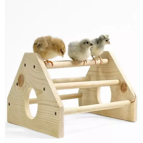 Chick Jungle Gym Kit Medium Chicken Perch Chicken Toy Wooden