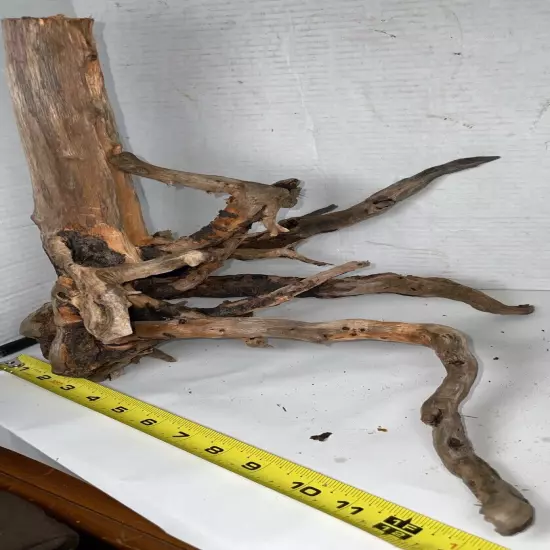 Driftwood Root Taxidermy Beach Lake Mountain Wedding Centerpiece Shower