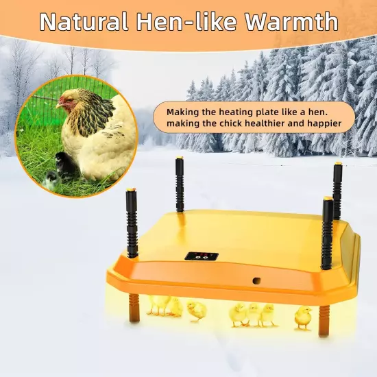 Coop Chick Brooder Heating Plate Brooder Heat Plate Warms Up to 15 Chicks - B...