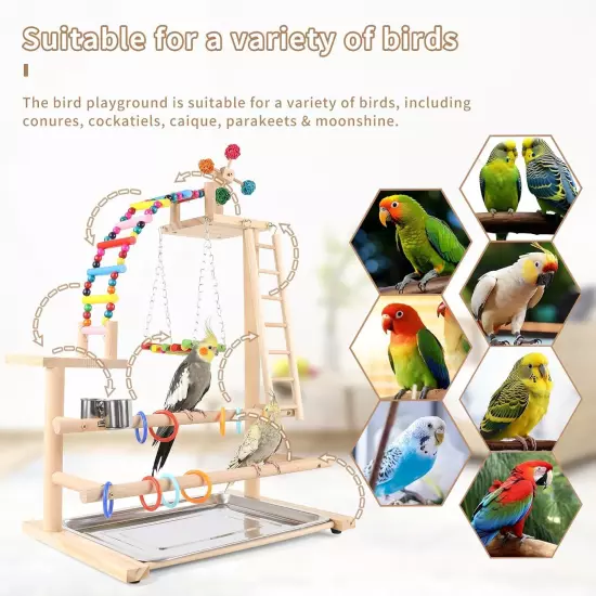 Bird Playground, Perch Stand Parrot Playstand Play Gym Medium, Multi-Color 