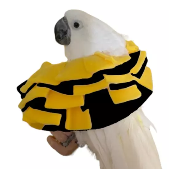 Soft Bird Collar for Umbrella, Moluccan & Yellow-Crested Cockatoo Parrots