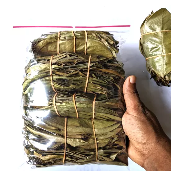 1 oz leaves Soursop Leaves 1 oz Hojas De Guanabana Graviola Leaf Bulk 100% Pure