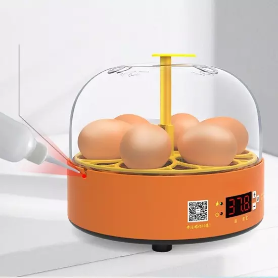 Mini 6Mini 6 Chick Incubator Small Home Science and Education Cross-Border