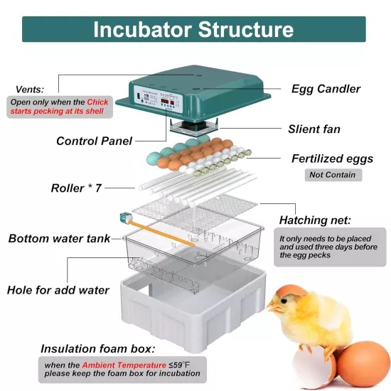 Automatic Egg Incubator Turning Humidity Monitoring 36 Eggs Chicken Duck Quail