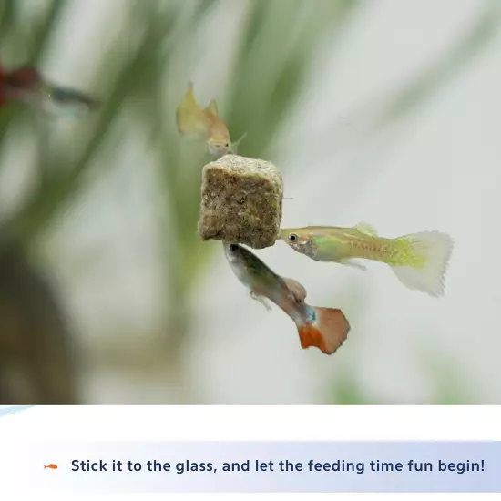 Stick'ems Freeze-Dried Picky Eater Pet Fish Treat