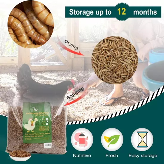 High Protein Non-GMO Dried Mealworms - 5LB Natural Large Size Snack