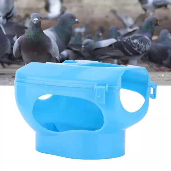 Pigeon Plastic Frame Holder Medicines Feeders Holder for Young Racing Pigeon