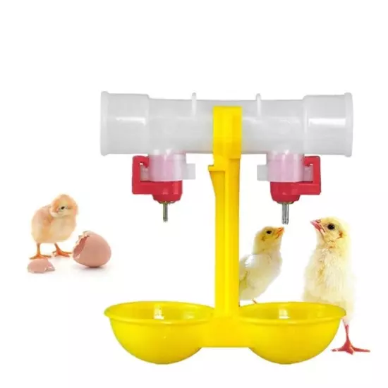 Chicken Waterer Cups Hanging Chicken Waterer Machine for Duck Turkey