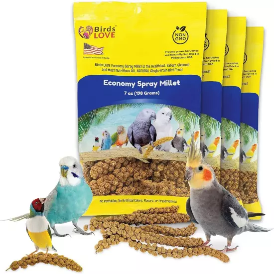 Birds LOVE Economy & Thin Spray Millet for Birds 100% Natural Treat No Stems 7oz