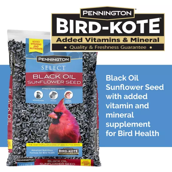 Pennington Select Black Oil Sunflower Seed Dry Wild Bird Feed