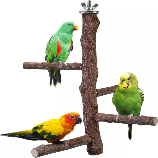 Bird Perch Stand Toy, Natural Wood Parrot Perch Bird Cage Branch Perch Accessori