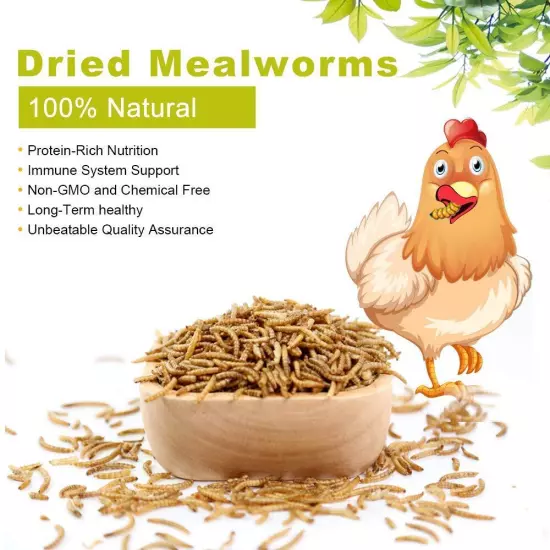 LuckyQworms Dried Mealworms High-Protein Bulk Mealworms 22Lbs 100% Non-GMO Me...