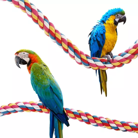 Bird Rope Perches,Parrot Toys 41 inches Bungee 41 inches, Multicolor 