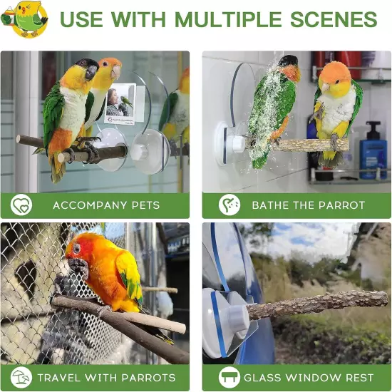 Removable Window/Shower Perch Platform with Suction Cups for Bird Small