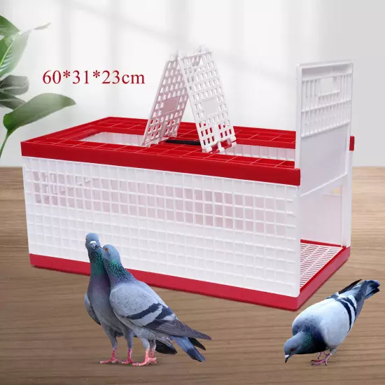 Racing Pigeon Carrier Box Large Plastic Bird Cage with 2 Side Doors +2 Top Doors