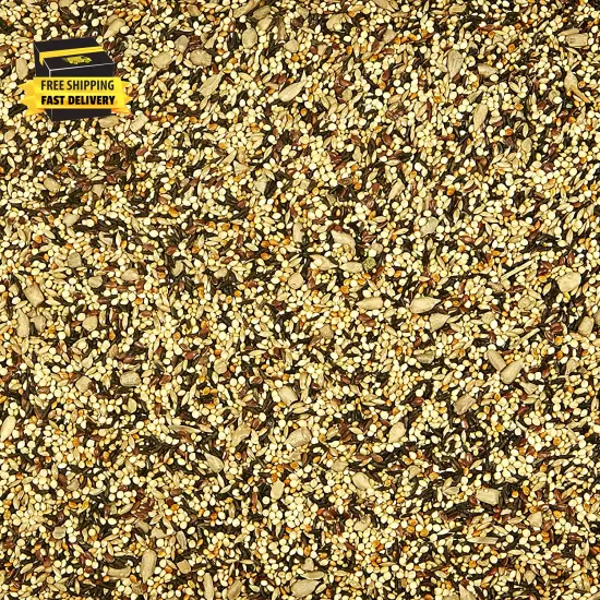 Wild Bird Finch Food Blend, 3 Lb ⭐️⭐️⭐️⭐️⭐️