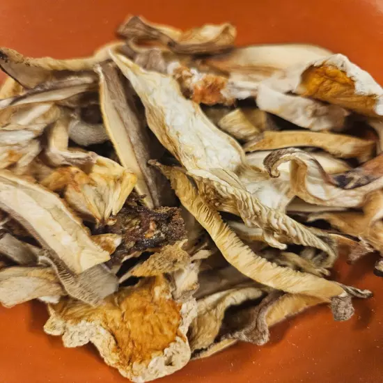 Dried Mixed Mushrooms