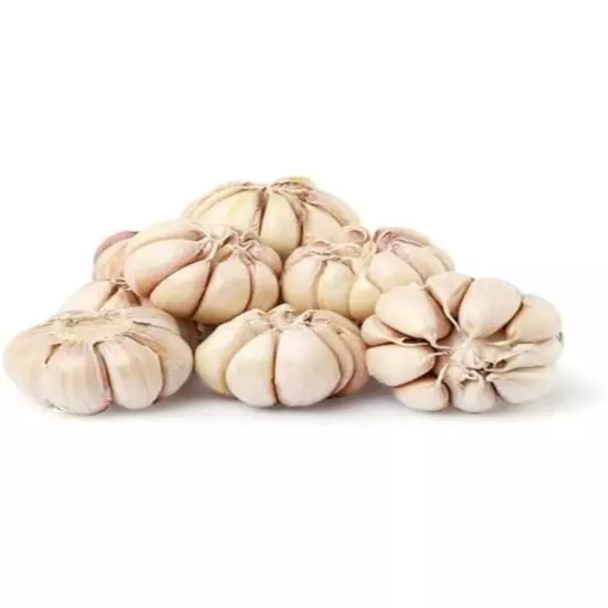 Indian GARLIC Bulbs 450 gram Fresh Organic Heirloom Plant or Cook and Eat Lasun