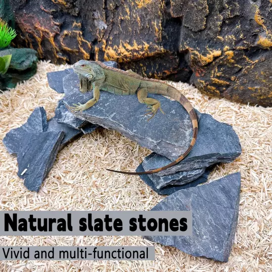 BNOSDM Natural Slate Stone Rocks, 1 to 3 Inch Stones, Quality Decor for Aquarium