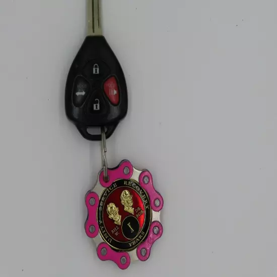 Pink AA Key Chain Chip Holder Keyring Gift Alcoholics Anonymous Al-Anon Women's