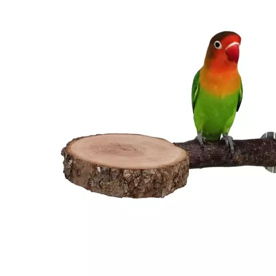 Natural Tree Wood Pet Parrot Wood Fork Tree Branch Stand Rack Squirrel7482