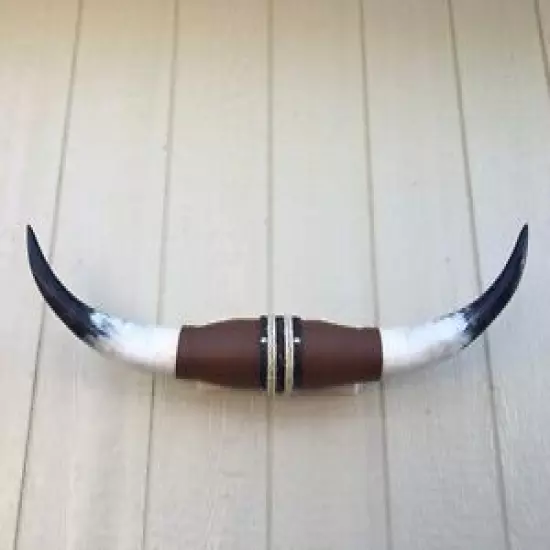 Nice MOUNTED STEER HORNS 31 1/2" WIDE LONGHORN POLISHED MOUNT BULL COW no skull