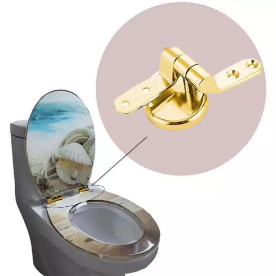 Durable Gold Toilet Hinges with Secure & Adjustable Fittings - Long-l D1P2