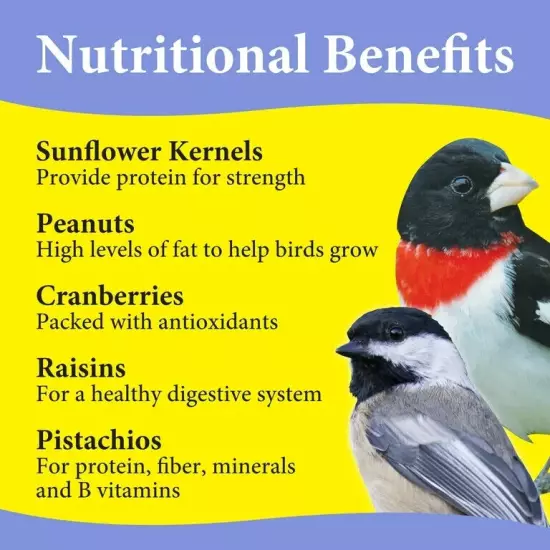 3-D Pet Products Premium Nut N' Berry Blend Dry Wild Bird Food, 5 lb., 1 Pack