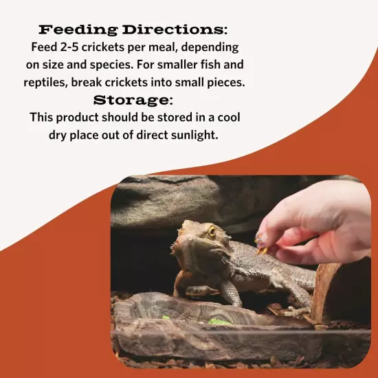 Dried Crickets for Reptiles, Birds, Fish, Hedgehogs, and Sugar Gliders 1.2 ounce