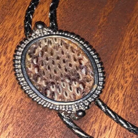 Vintage Country Western Diamondback Rattle Snake Skin Bolo Tie Jewelry