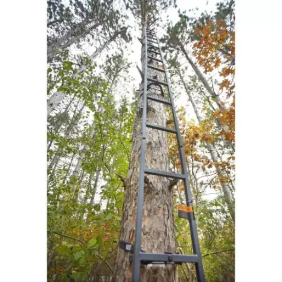 Tree Stand Hunting Ladder 20' Heavy Duty Tube Steel 8" wide Step With Straps