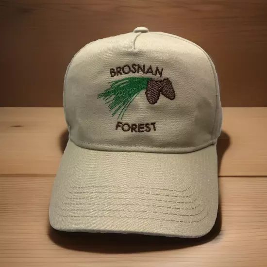 Brosnan Forest Hat Cap Embroidered Dad Pinecone Tan Snapback Charleston Norfolk