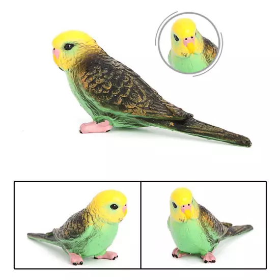 Parrot Animal Mod Budgie Parrot Bird Figurine Parakeet Birds Garden Orname D1P0