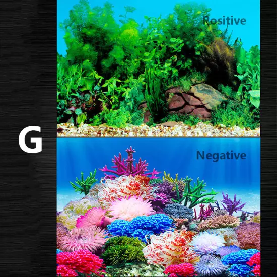 Fish Tank Background HD Aquarium Adorn 3D Landscape Sticker Paper Double Sided