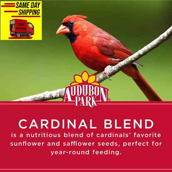 Audubon Park Cardinal Blend Wild Bird Food, Cardinal Bird Seed for outside Feede