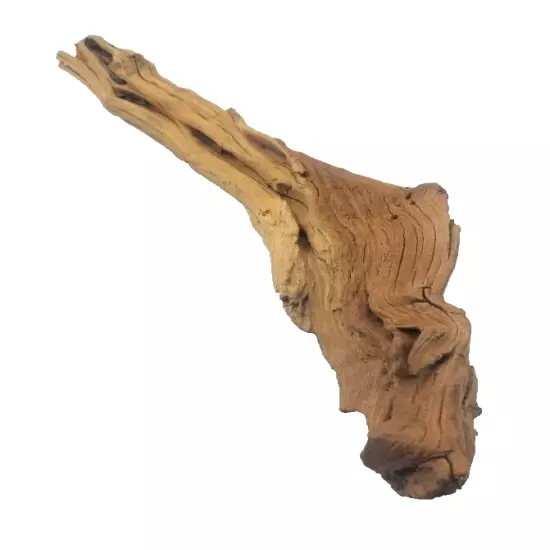 Natural Driftwood for Aquarium Terrarium Reptile Craft lot