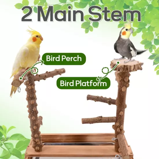 Bird Playground, Bird Perch Play Stand, Bird Conure Parakeets Parrots Cockati...