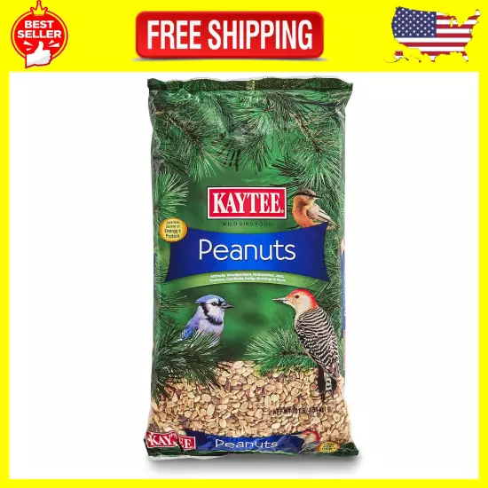 Shelled Peanuts for Wild Birds, 10 lb Bag