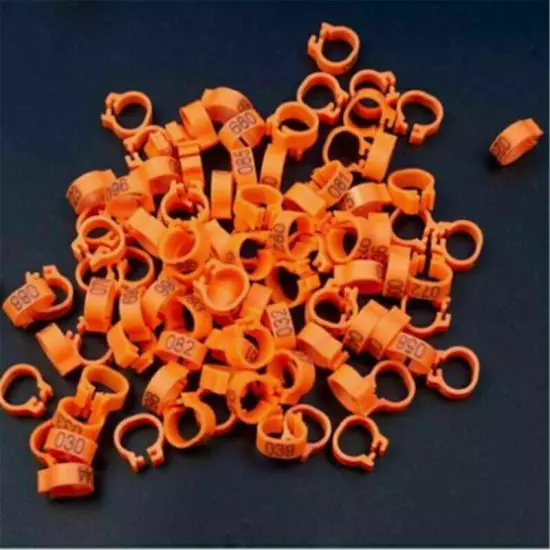 100PCS Bird Rings Leg Foot Bands For Pigeon Parrot Clip Rings Number 1-100