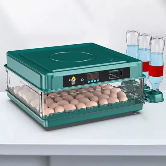 10 Egg Incubator (for Chickens, Birds and Quail) Automatic Incubation Equipment