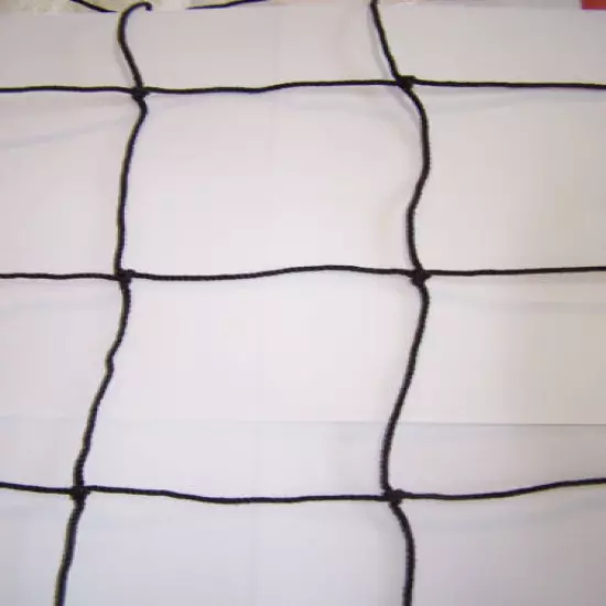 12' x 10' BLACK SQUARE MESH NYLON NETTING 4" #36 VOLLEYBALL BASKETBALL BARRIER