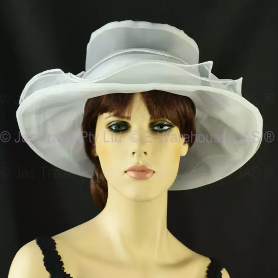 Spring Race Carnival Derby Day Church Wedding Women Ladies Organza Evening Hat