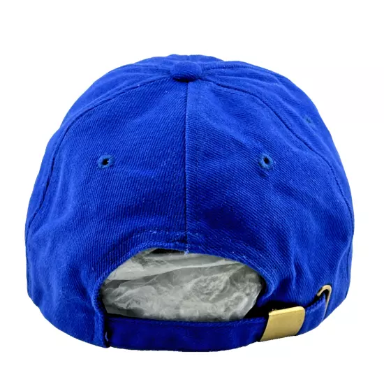 Adult VAM PTS CAP Blue - OSFM - Adjustable