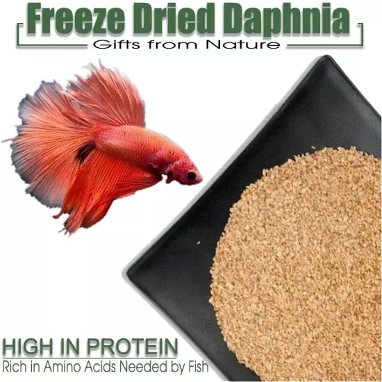 Freeze Dried Daphnia Fish Food for Betta, Neon, Guppy, Cichlid, Catfish and All 