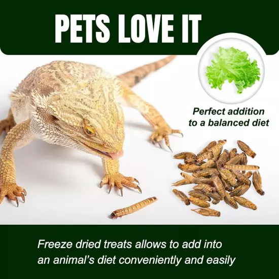 With Natural Dried Crickets (8Oz) All Natural 100% Non-Gmo, Food for Breaded Dra