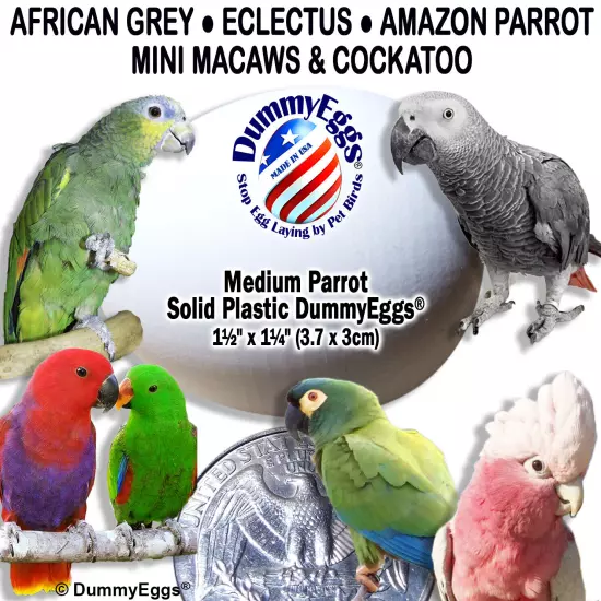 DummyEggs PLASTIC MED PARROT BIRD EGGS STOP LAYING! African Grey Amazon Eclectus