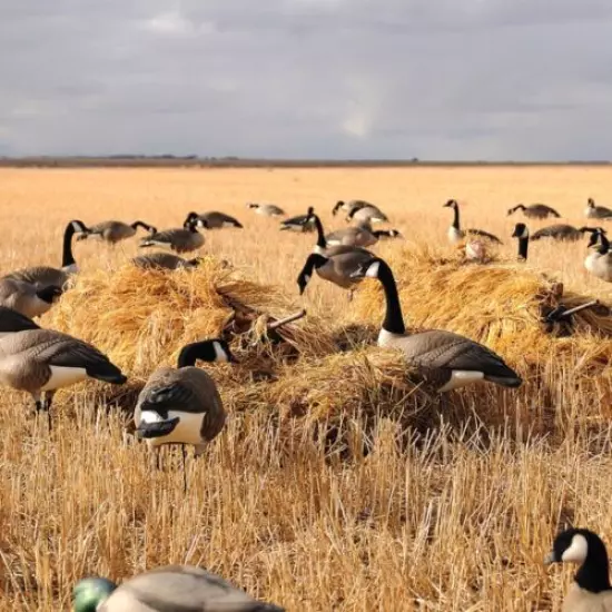 Avery Greenhead Gear Golden Harvest Killer Weed Duck Goose Blind Kit Killerweed 