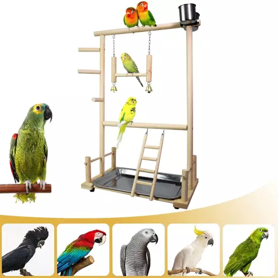 Bird Life Activity Center, Pet Stand Platform Parrot Toys for Small Birds, Bi...