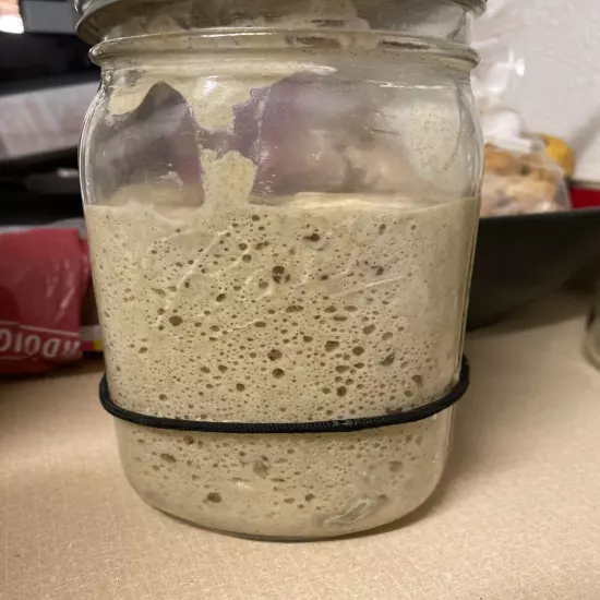 San Francisco SOURDOUGH STARTER WELL OVER 200 YRS OLD VERY STRONG