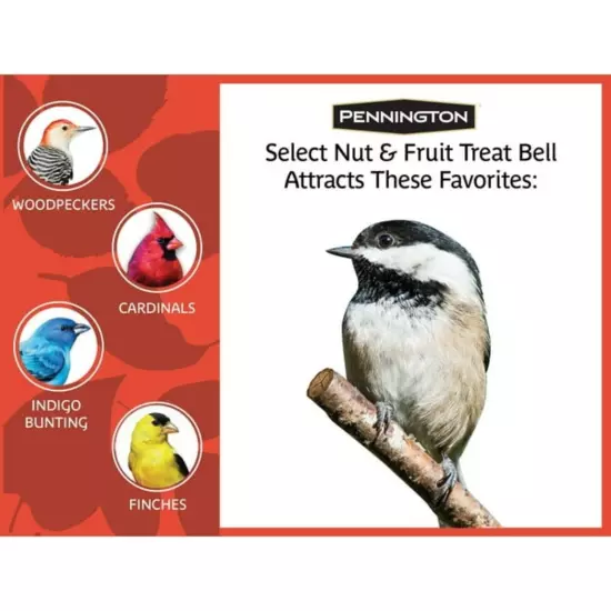 Pennington Nut and Fruit Treat Bell, Wild Bird Feed and Seed, 15 Oz